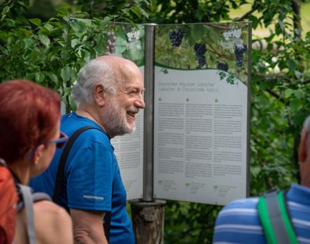 A group on the Wine Hiking Trail